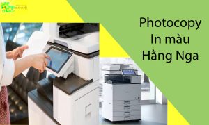 Dịch vụ in photocopy tại Mễ Tri Hạ, uy tín chuyên nghiệp làm việc online 247